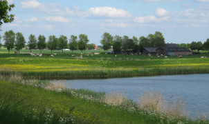 Landschap buitengebied